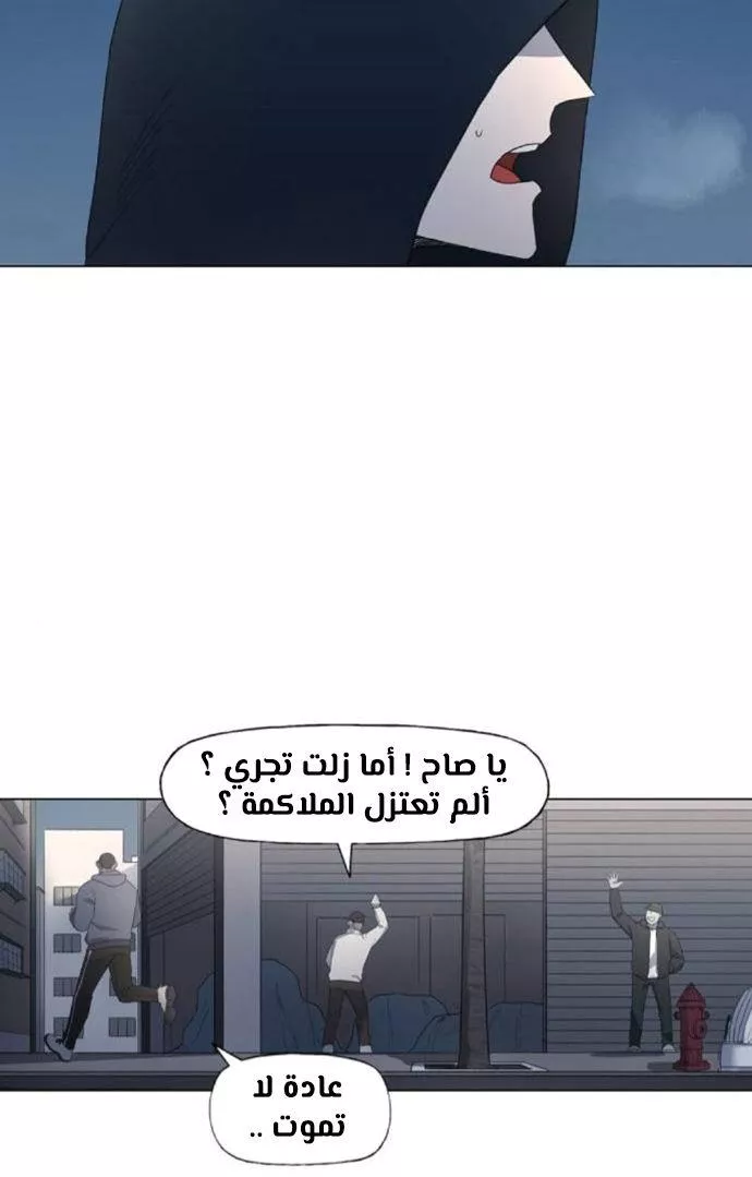 الصفحة 13