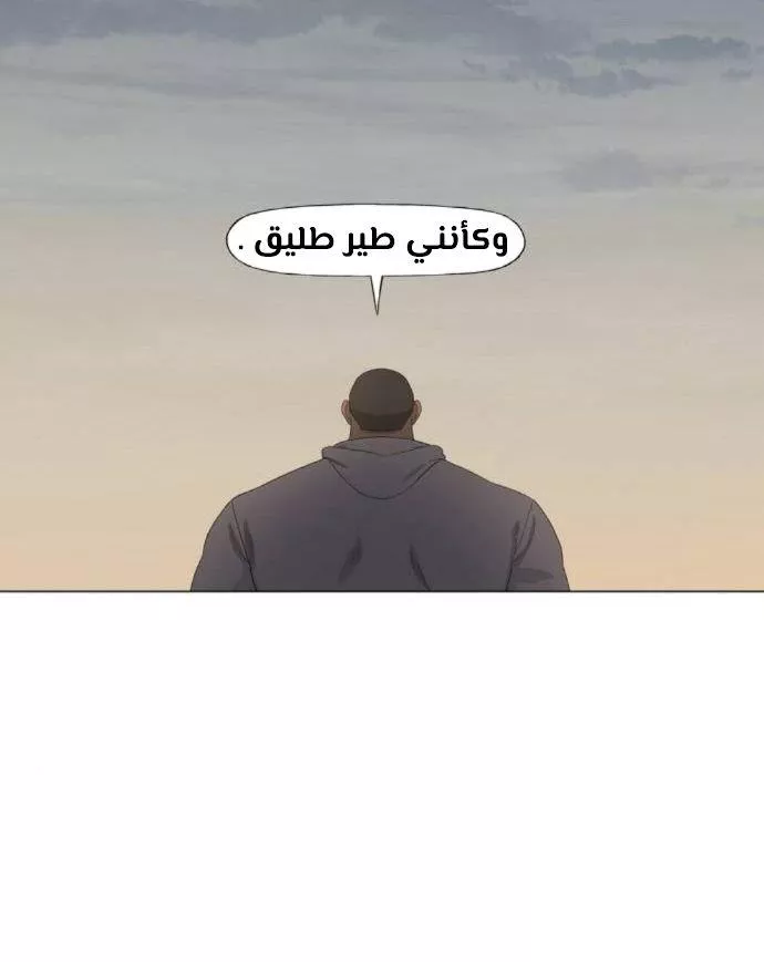 الصفحة 22