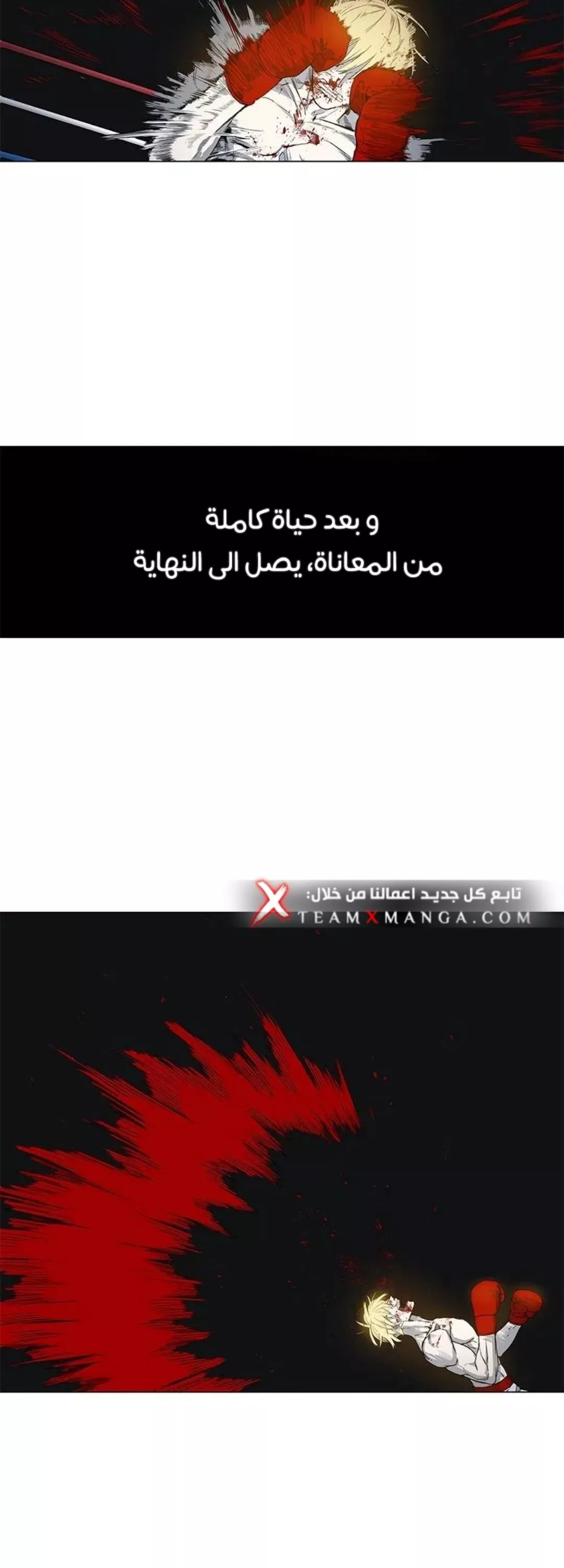 الصفحة 13