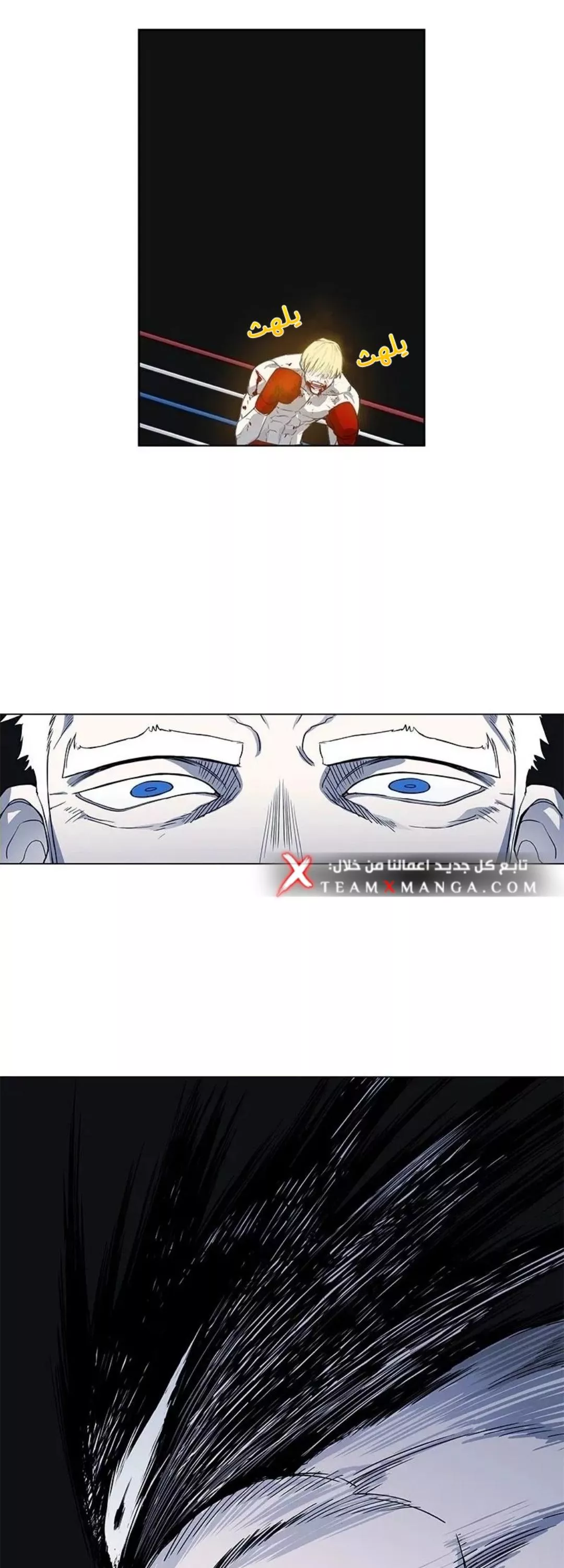 الصفحة 16