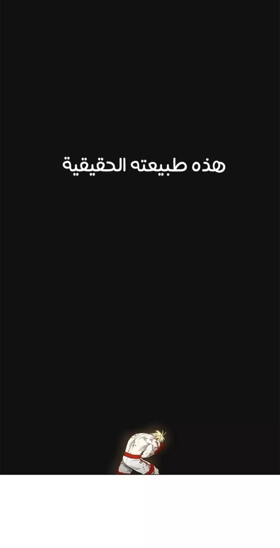 الصفحة 46