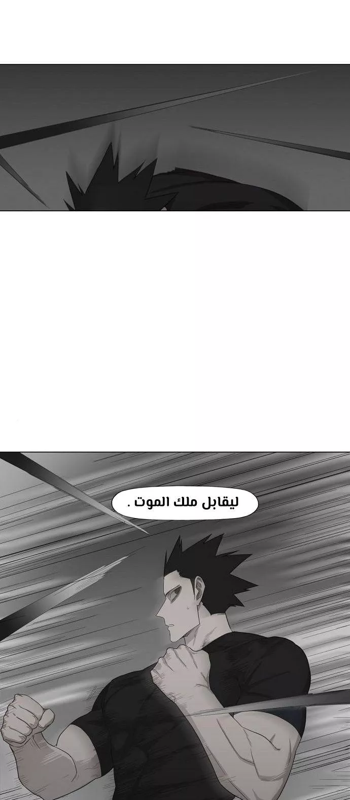 الصفحة 29