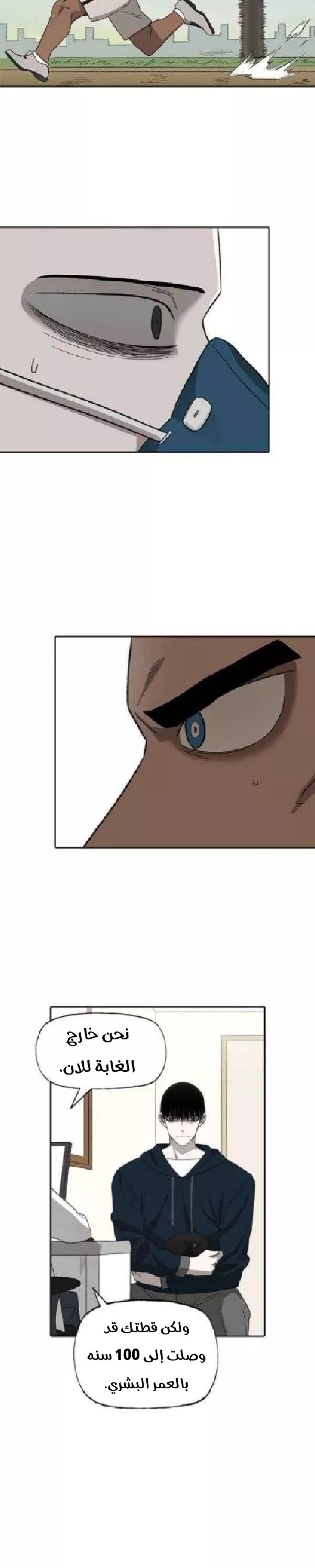 الصفحة 14
