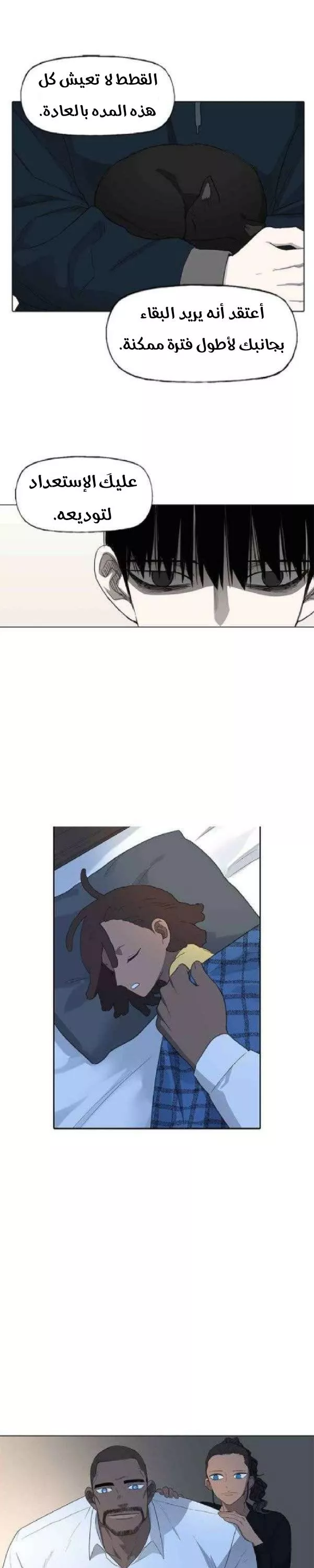 الصفحة 15
