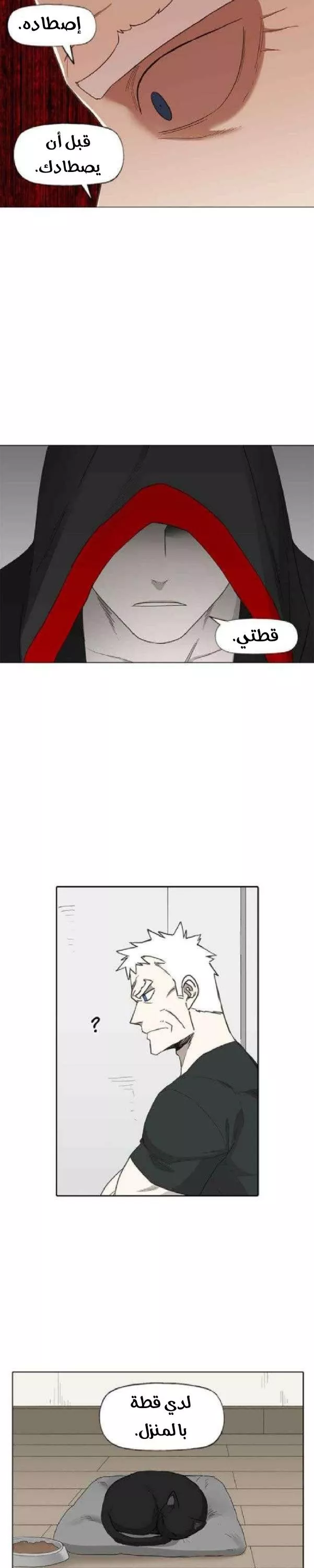 الصفحة 20