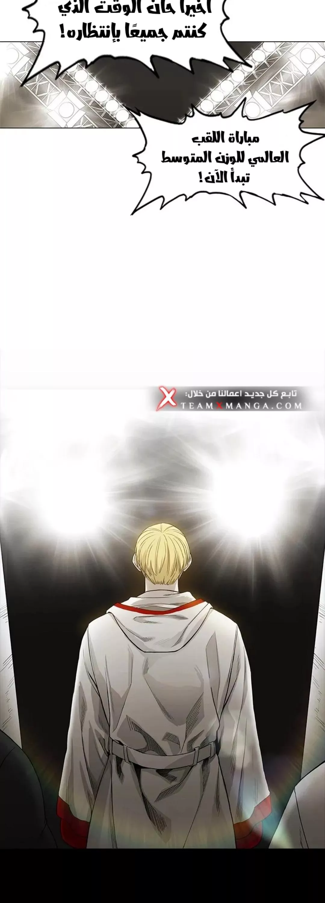 الصفحة 17