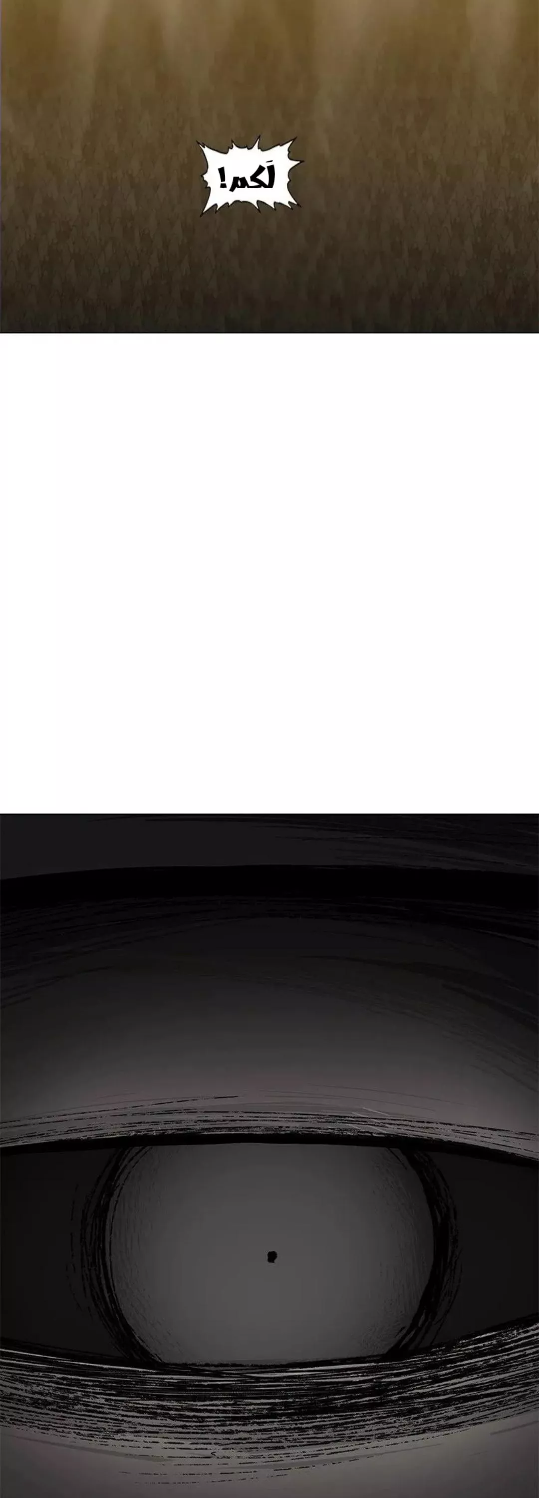 الصفحة 51