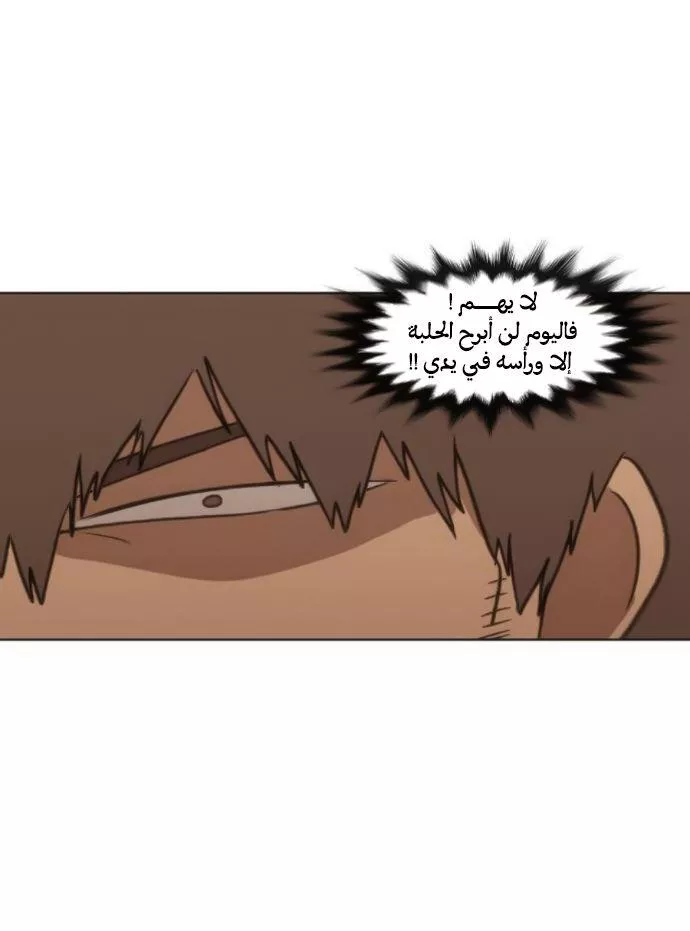 الصفحة 29