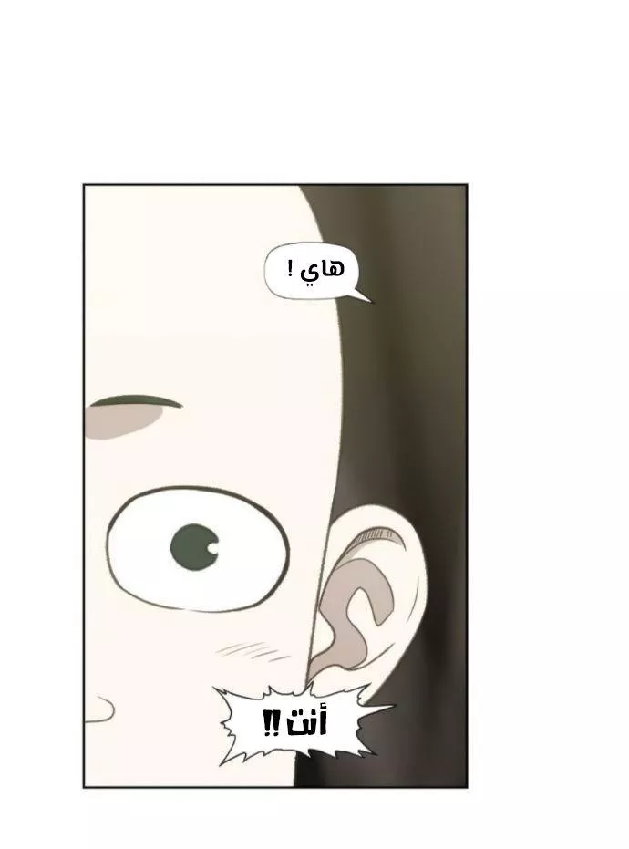 الصفحة 37