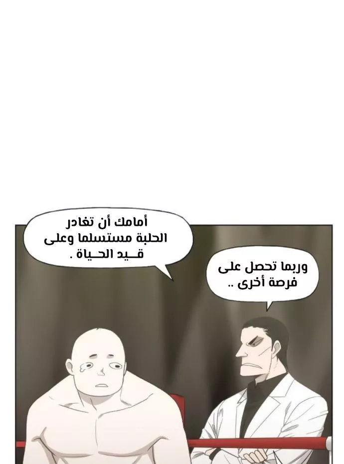الصفحة 38