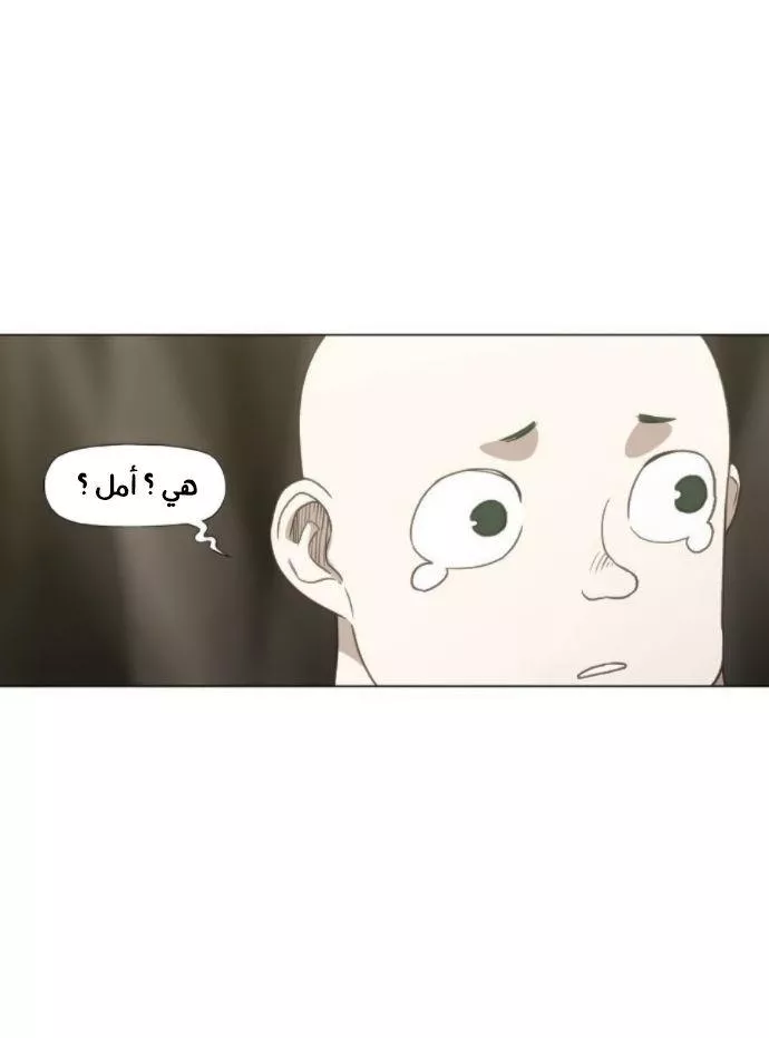 الصفحة 40