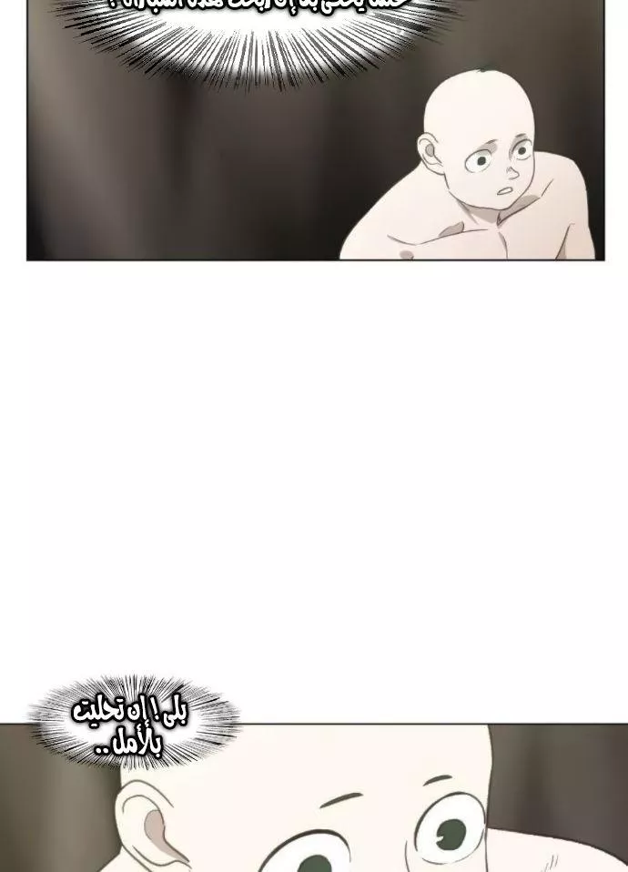 الصفحة 43