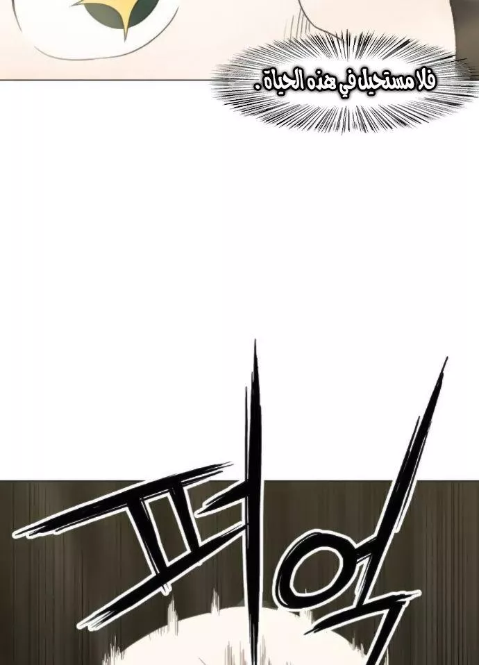 الصفحة 45