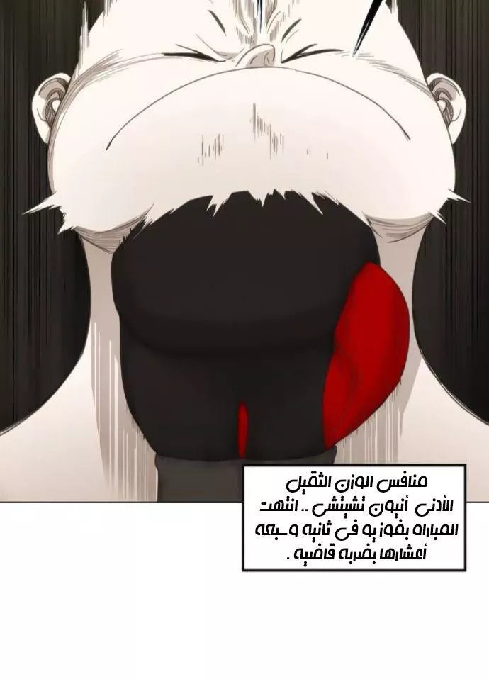 الصفحة 46