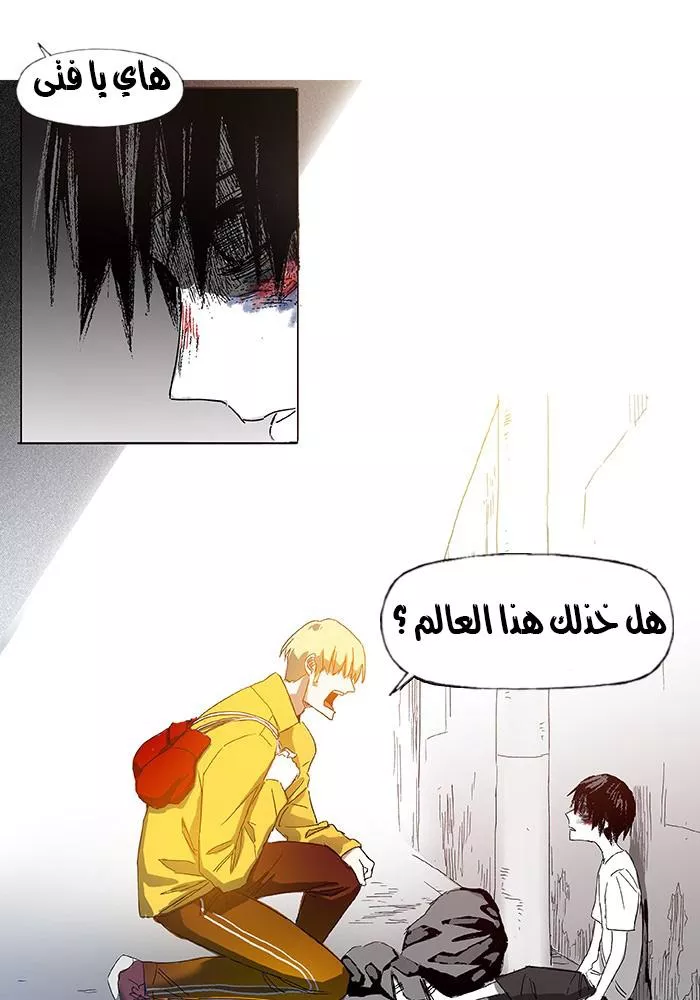 الصفحة 8