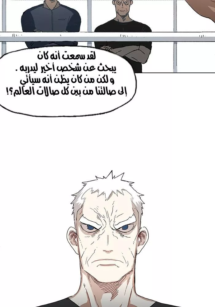 الصفحة 17