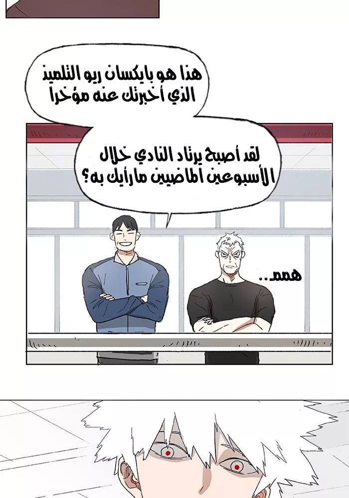 الصفحة 24