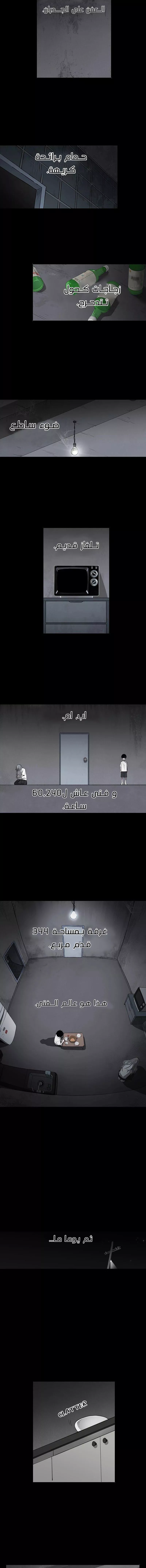 الصفحة 13