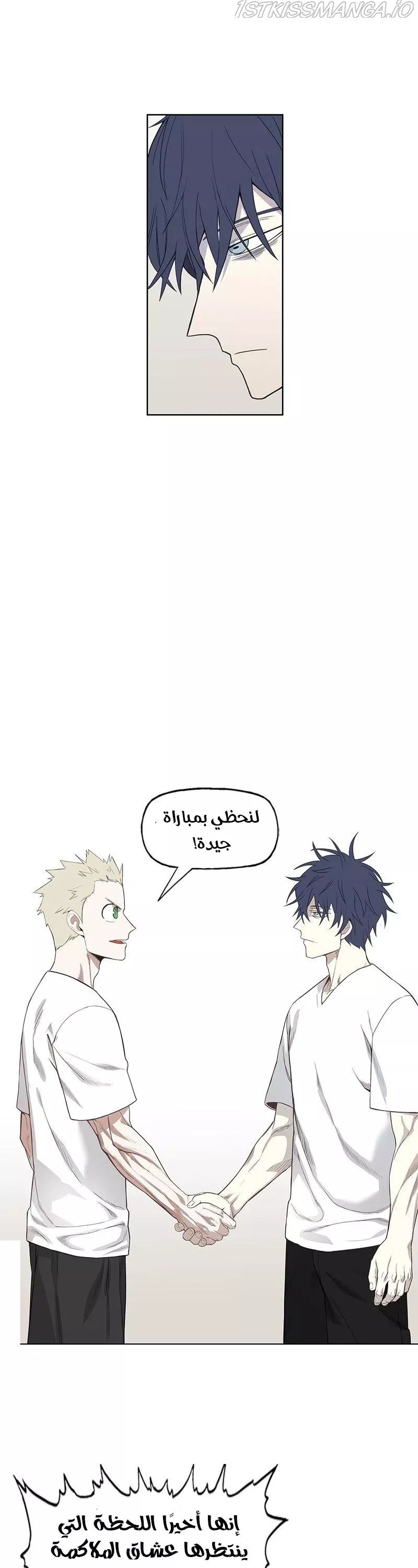 الصفحة 17