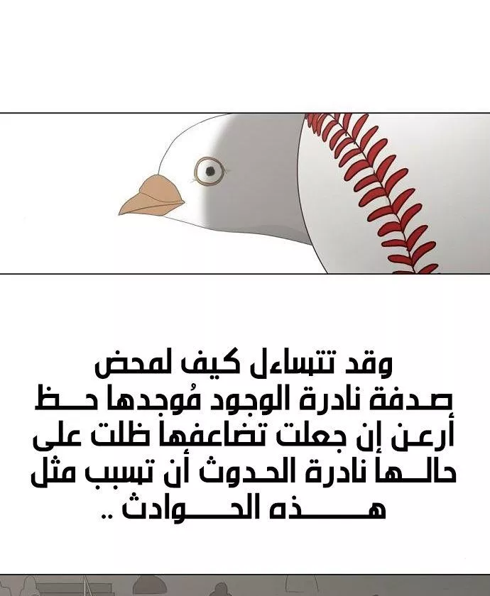 الصفحة 81