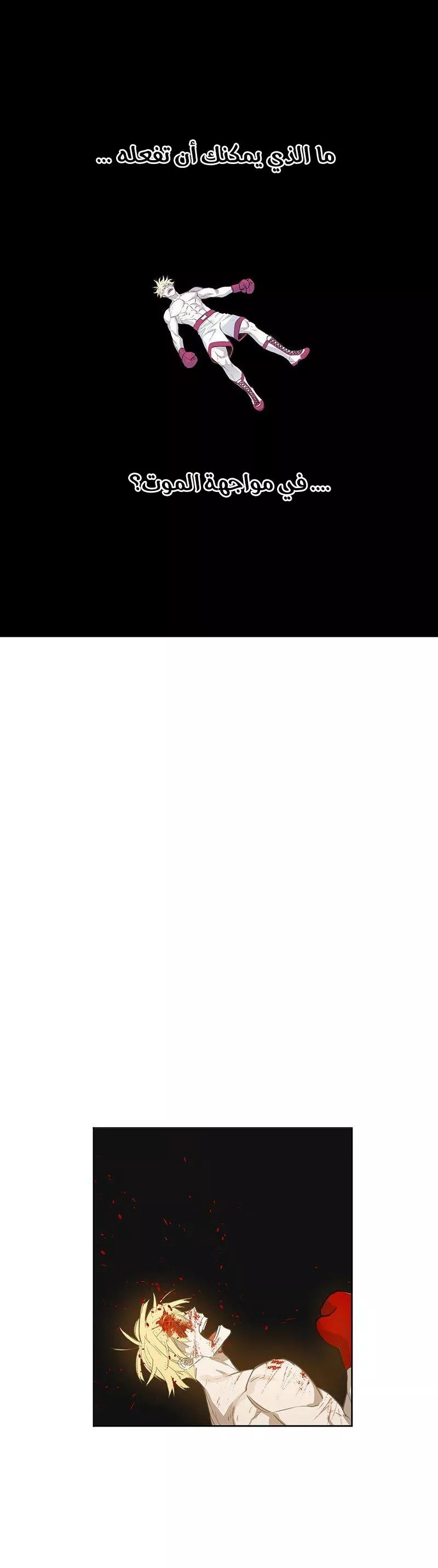 الصفحة 12