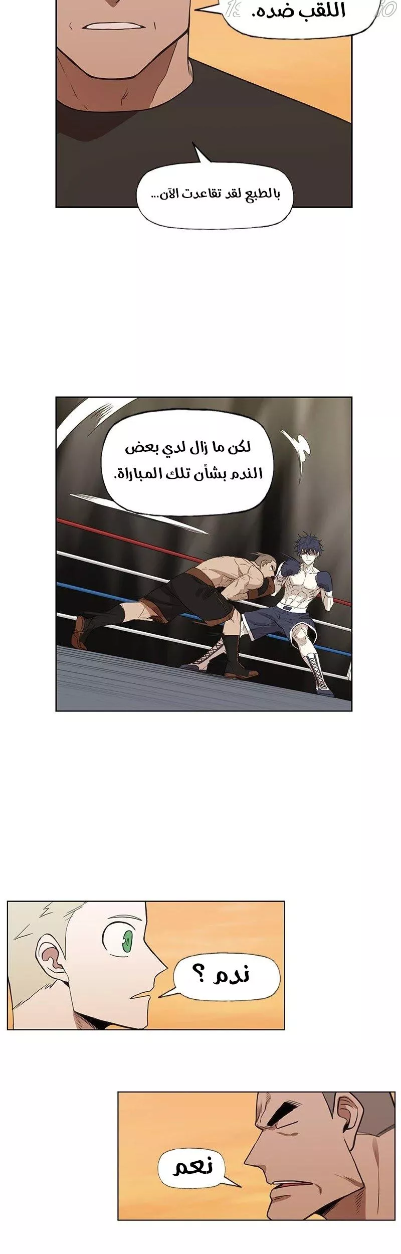 الصفحة 19