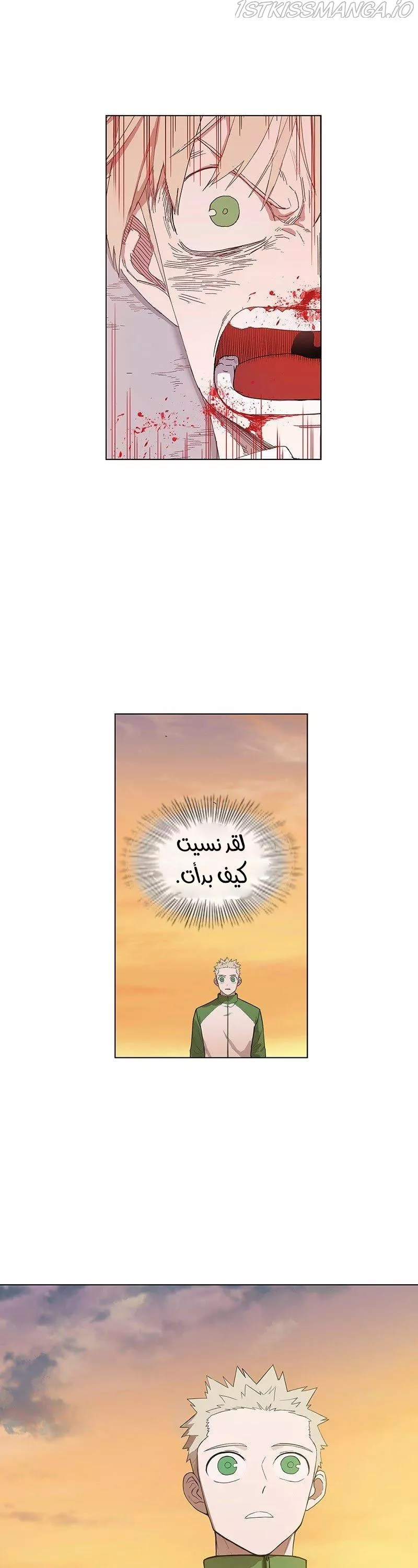 الصفحة 29