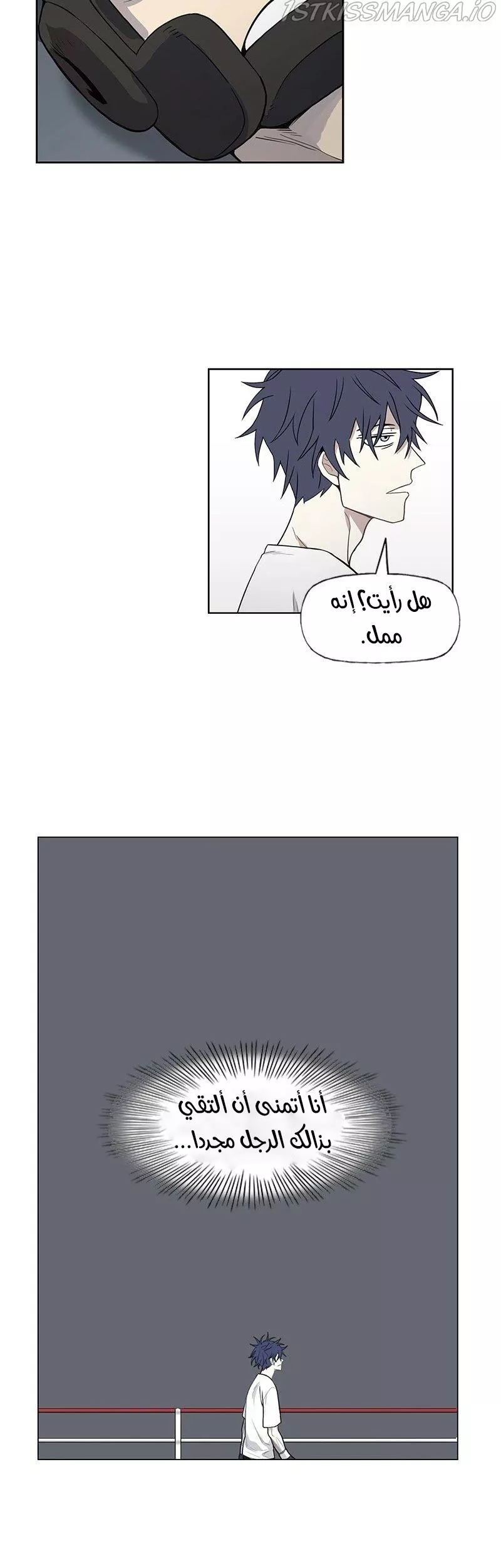 الصفحة 11