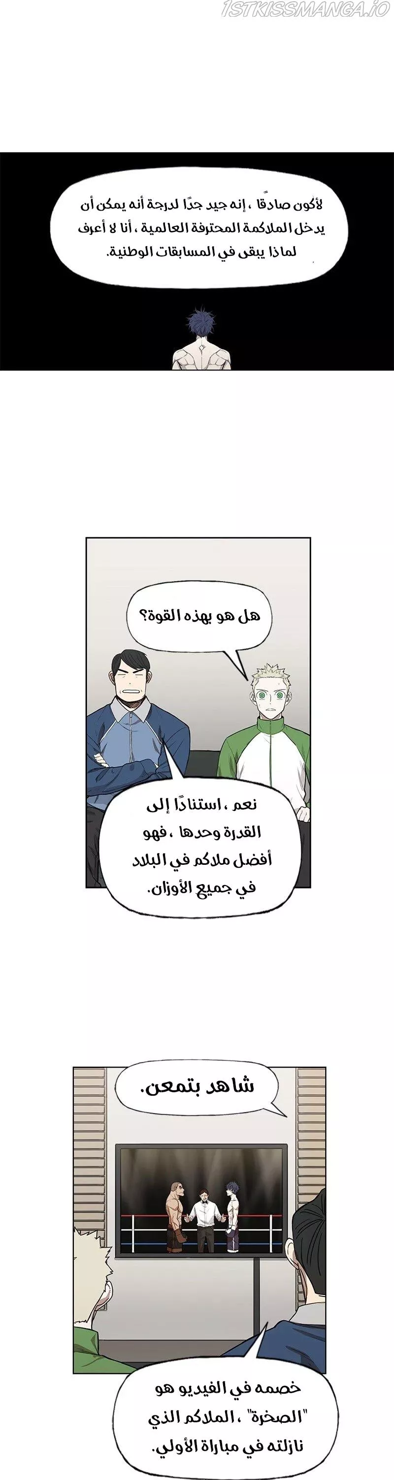 الصفحة 13