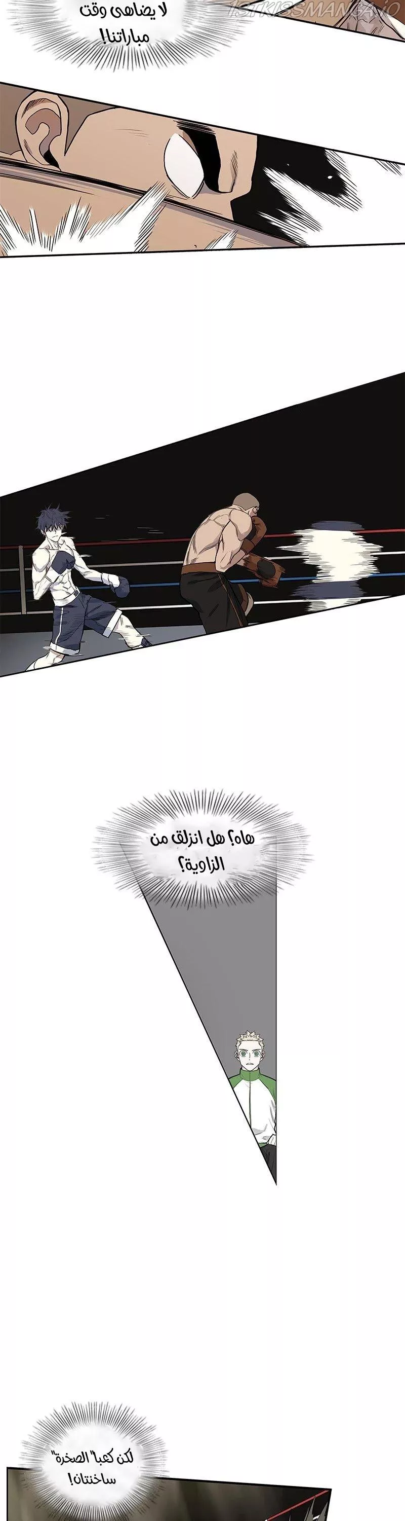 الصفحة 17