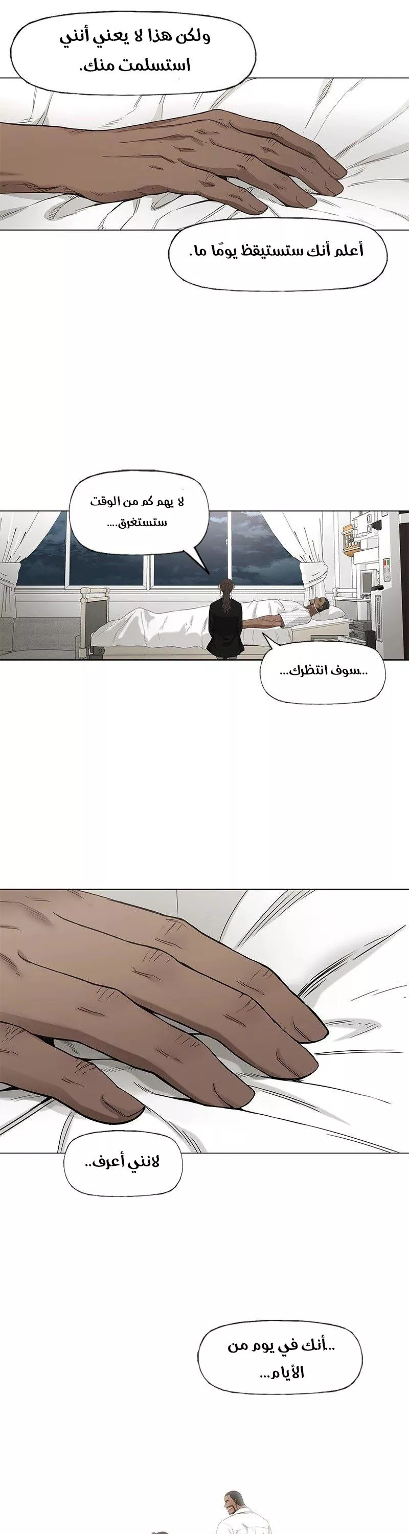 الصفحة 17