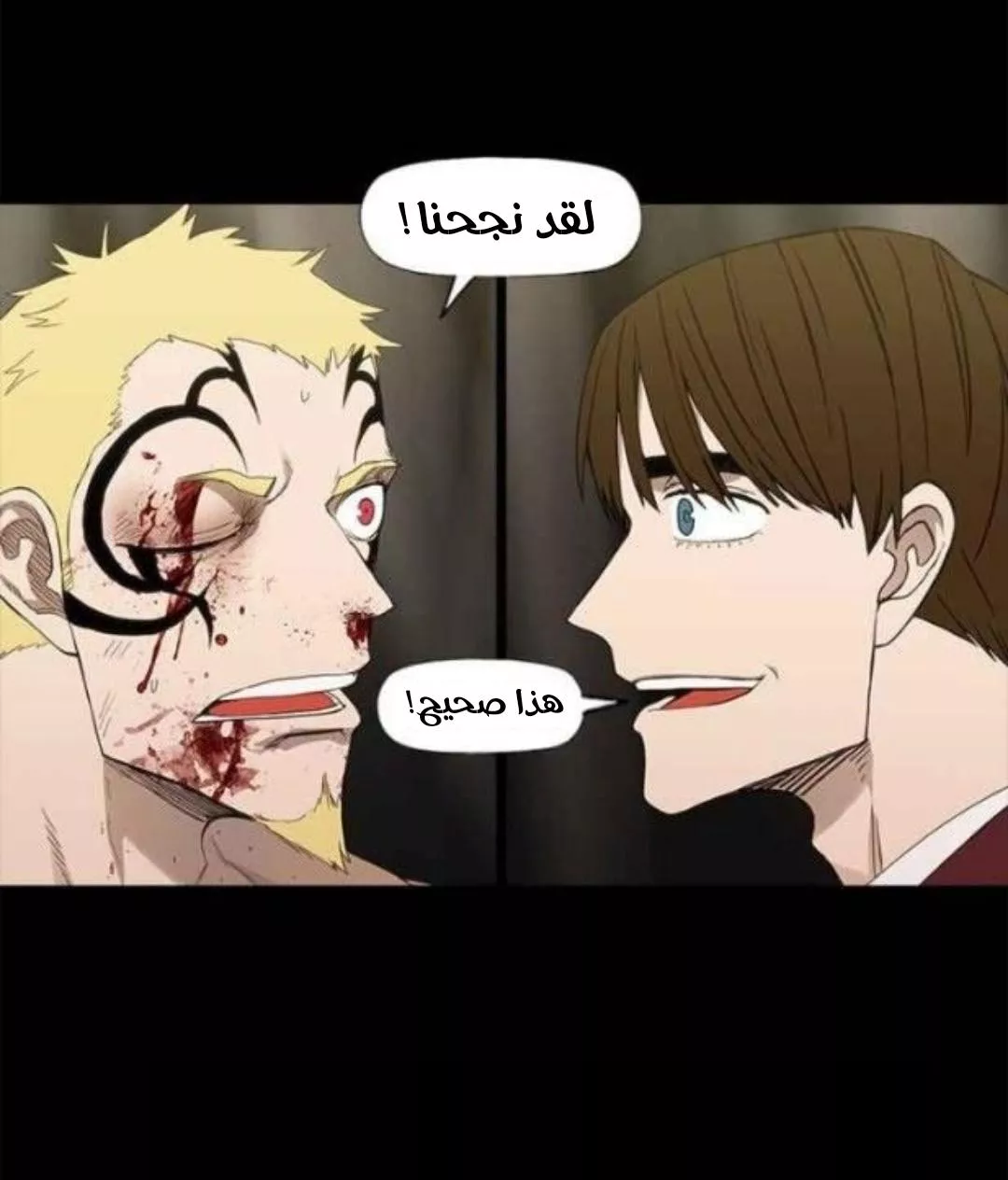الصفحة 11