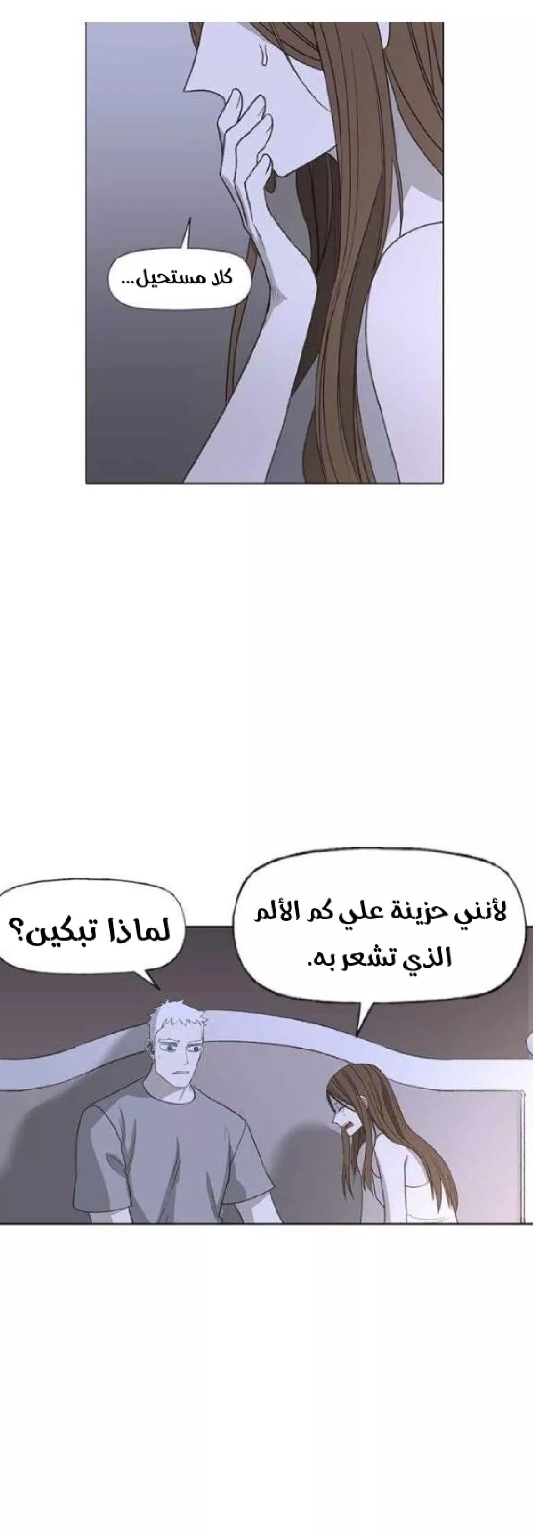 الصفحة 25