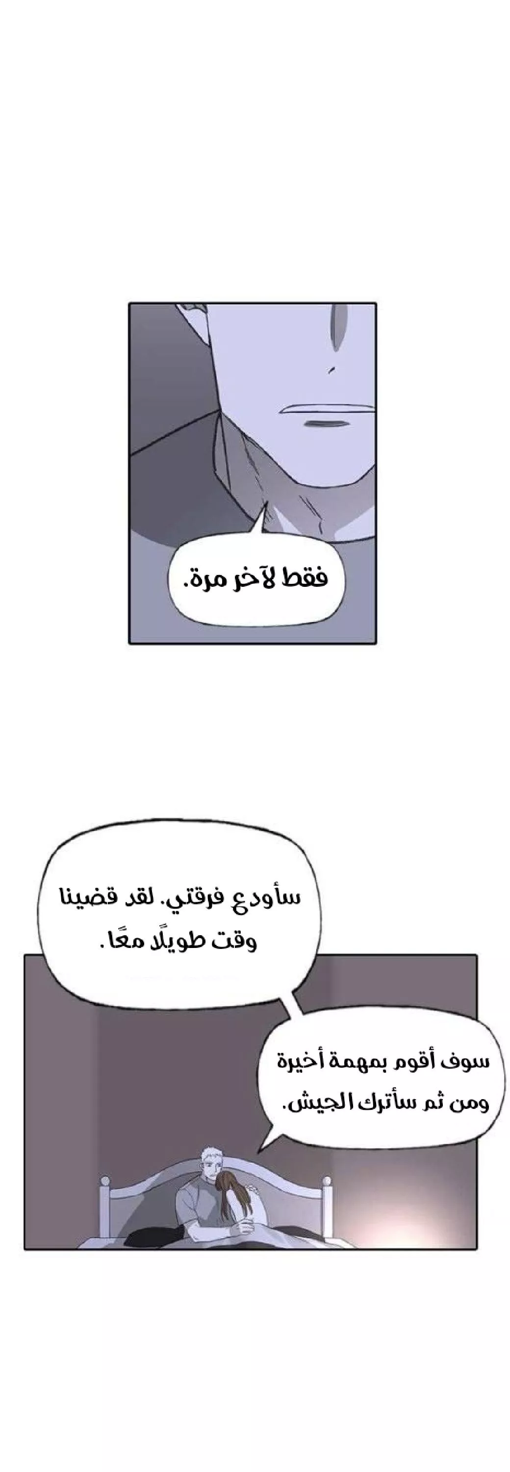 الصفحة 29