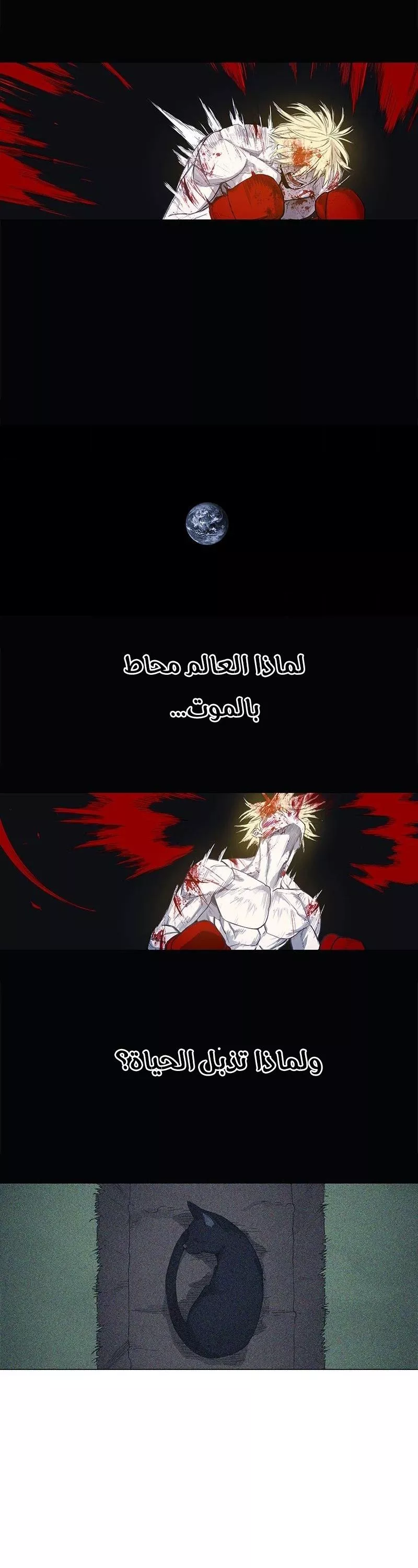 الصفحة 12