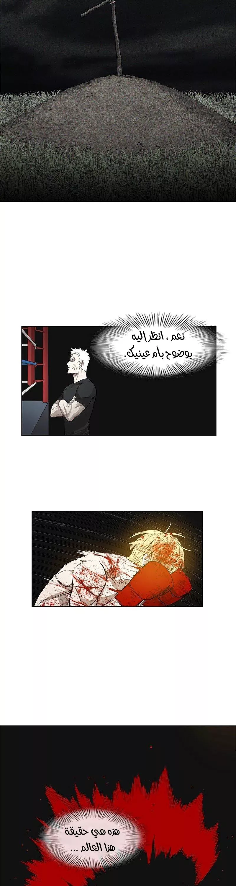 الصفحة 25