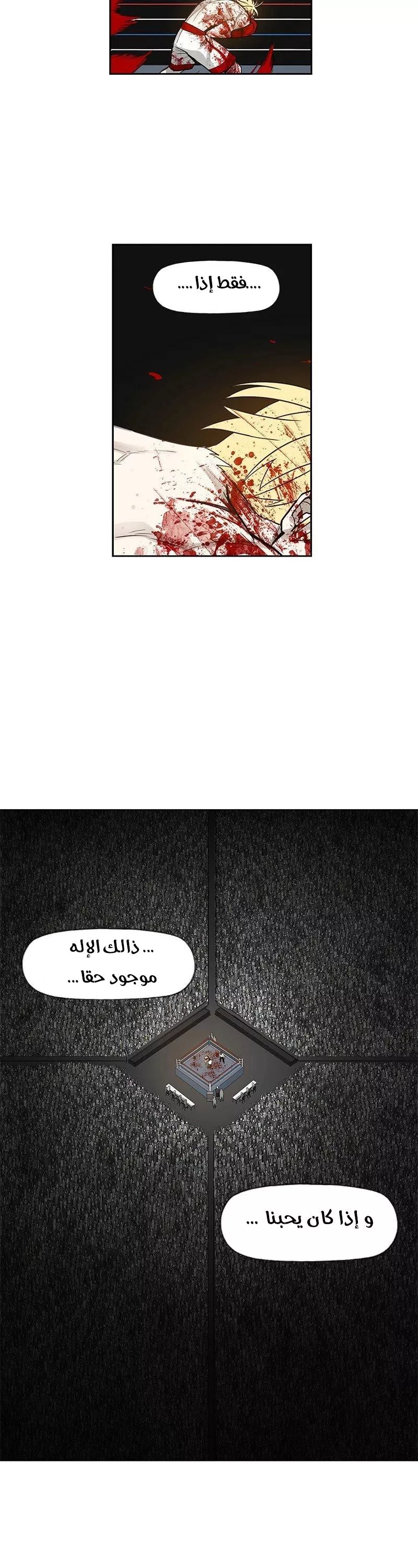 الصفحة 41