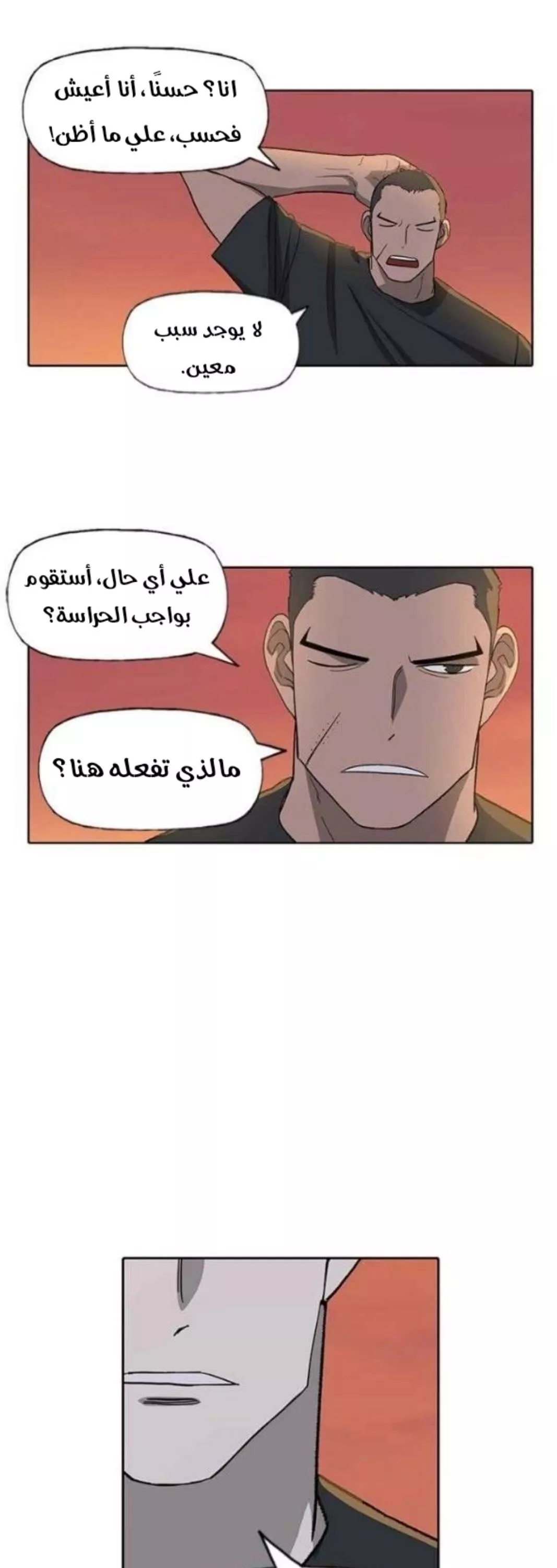 الصفحة 17
