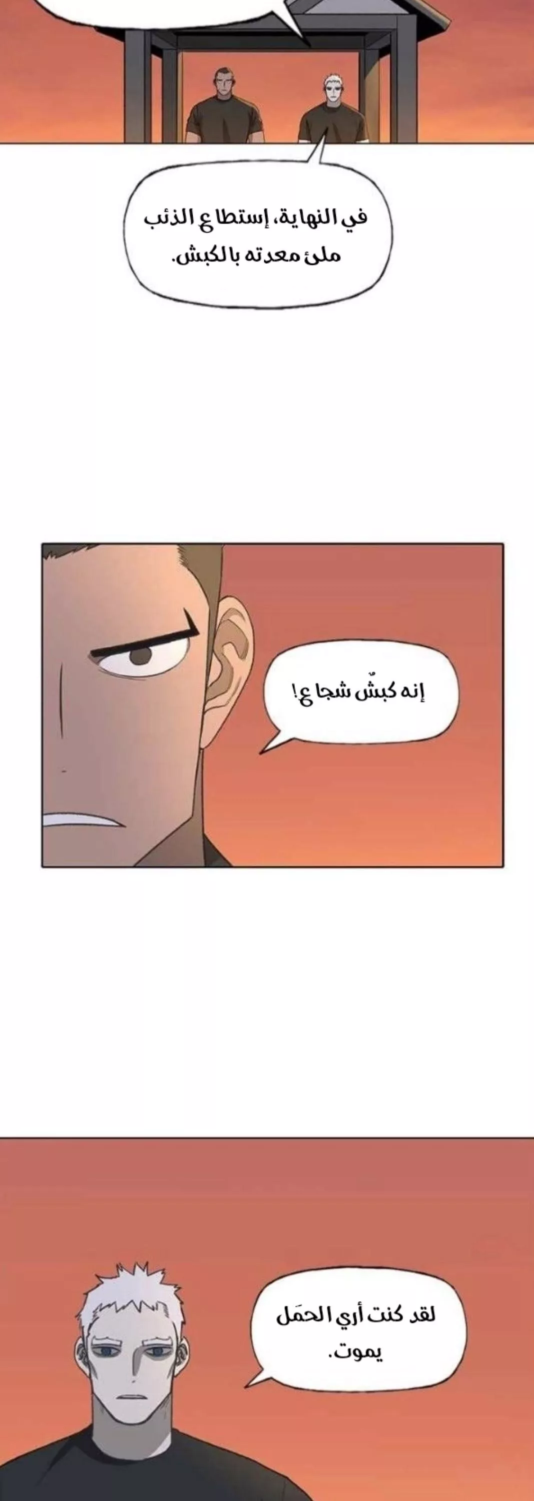 الصفحة 20