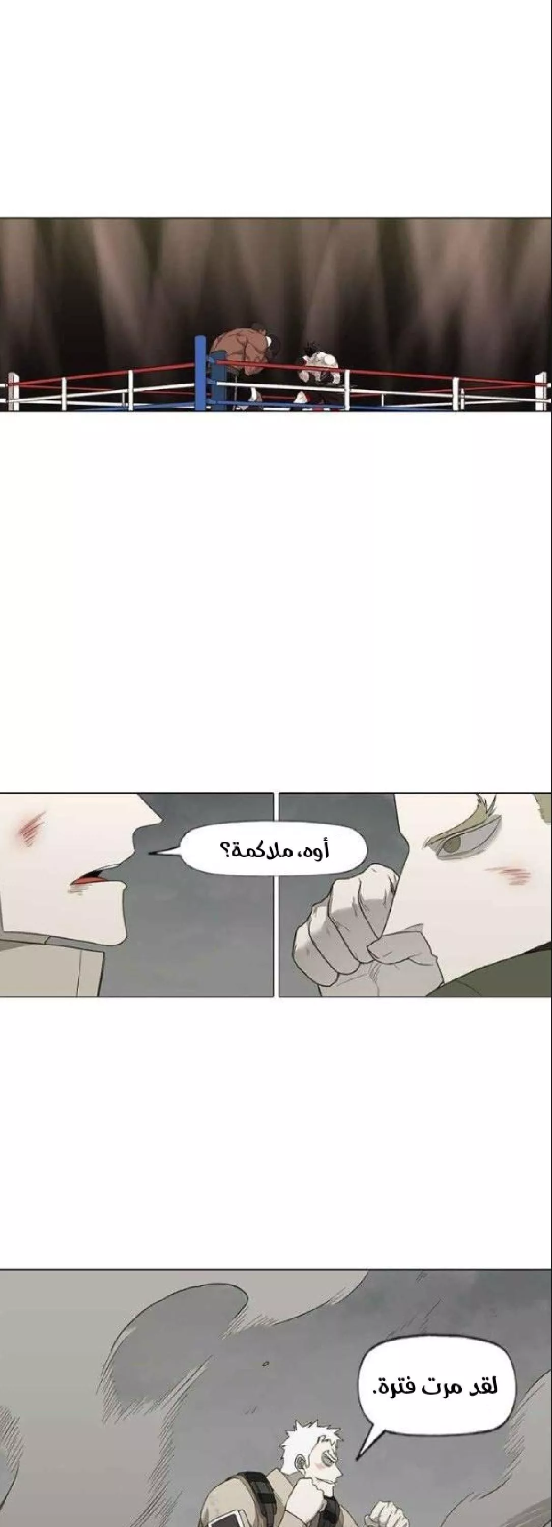 الصفحة 52