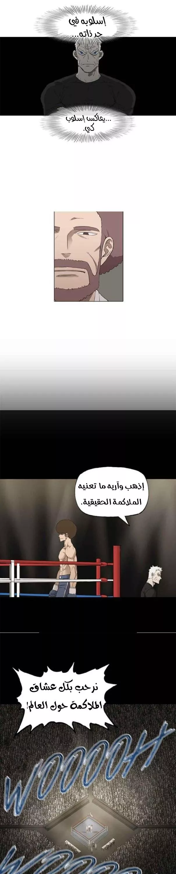 الصفحة 13