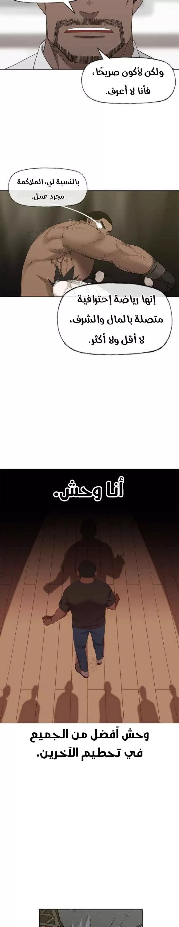 الصفحة 13
