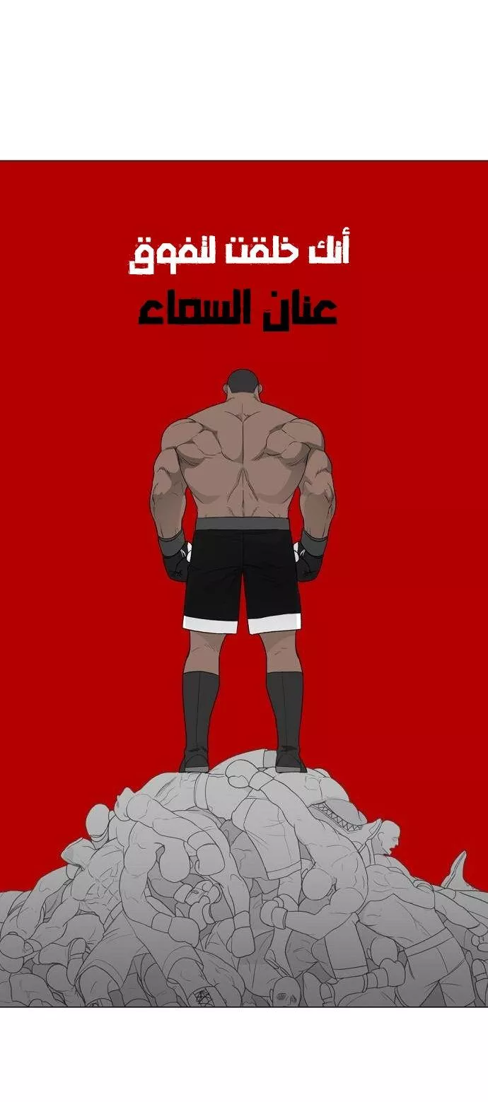 الصفحة 41