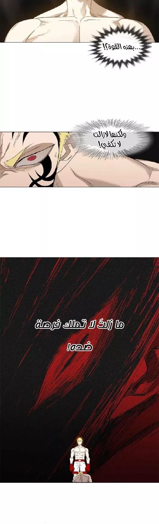الصفحة 16