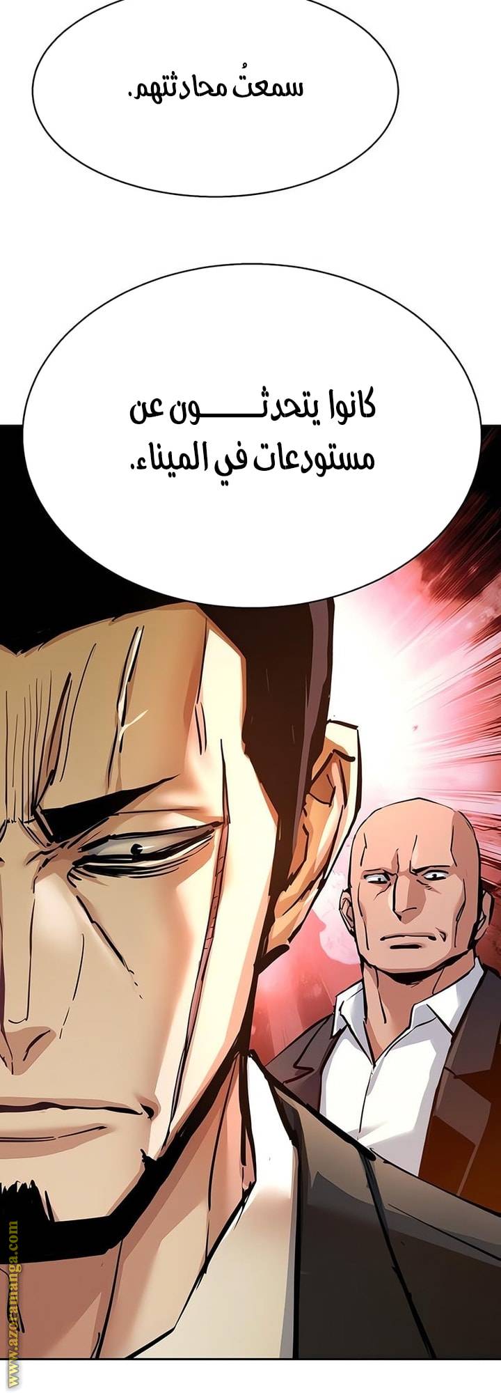 الصفحة 41