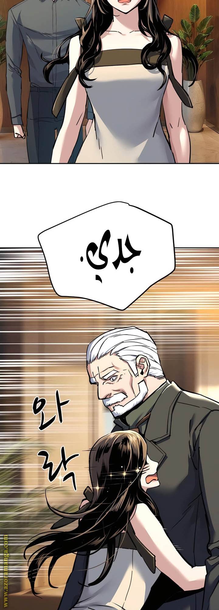 الصفحة 17