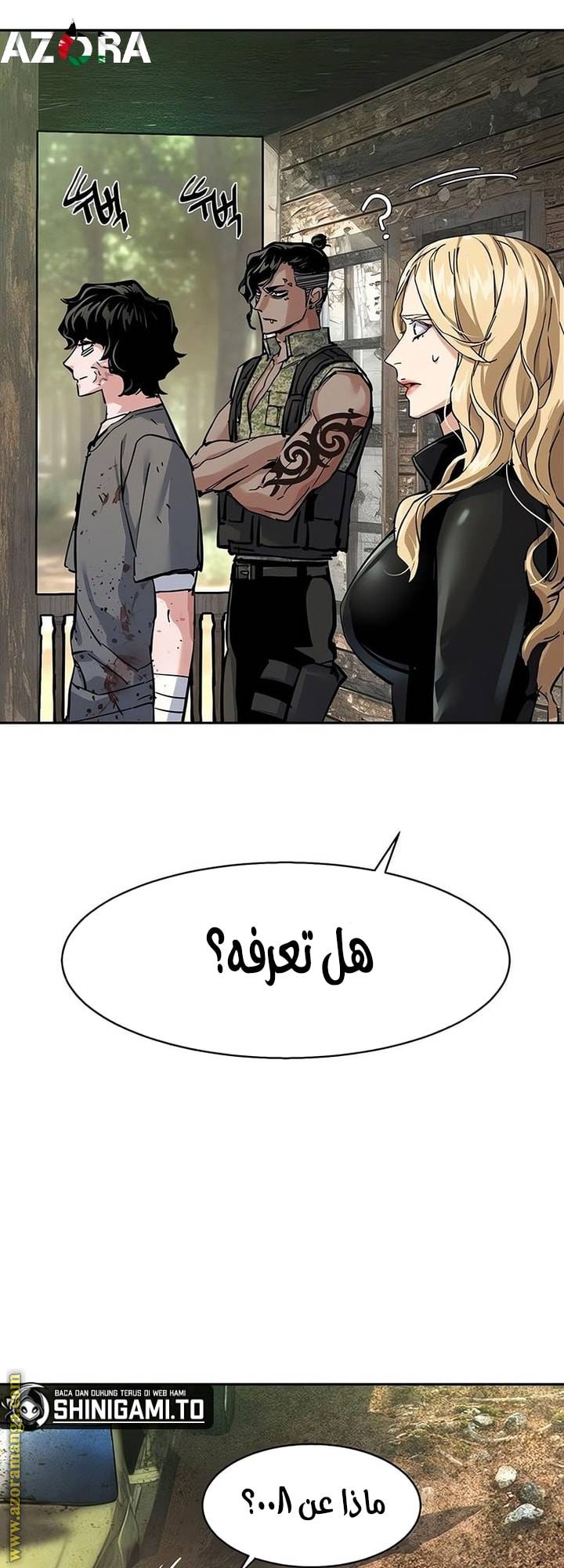 الصفحة 19