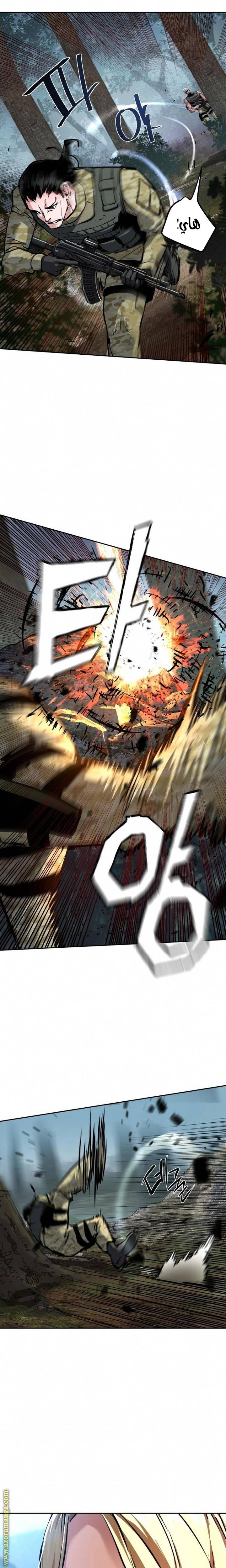 الصفحة 13