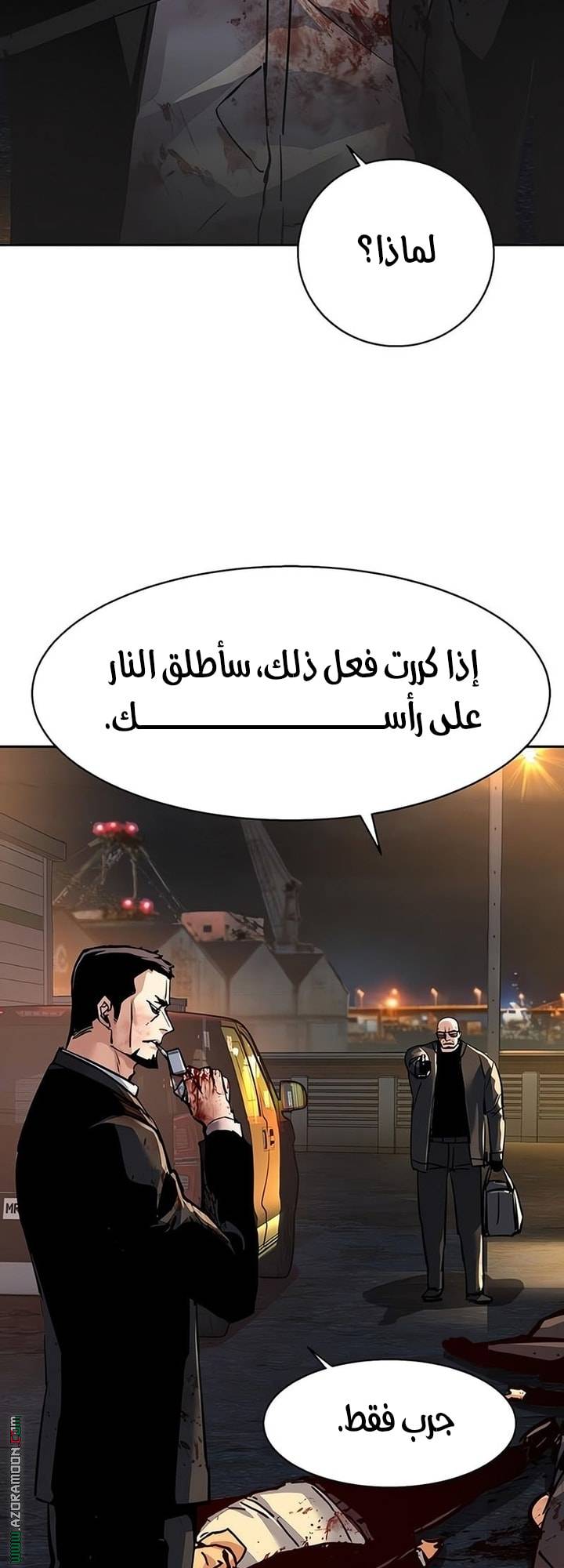 الصفحة 13