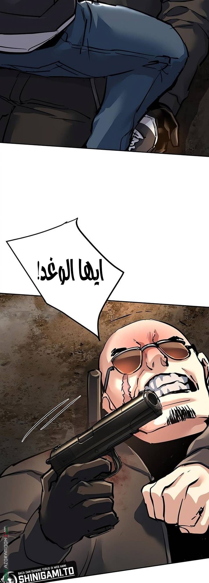 الصفحة 41